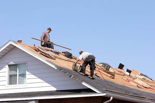 Fast & Reliable Emergency Roof Repairs in Moline, IL